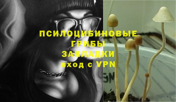 Альфа ПВП Медногорск