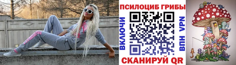 Псилоцибиновые грибы Psilocybe  Георгиевск 