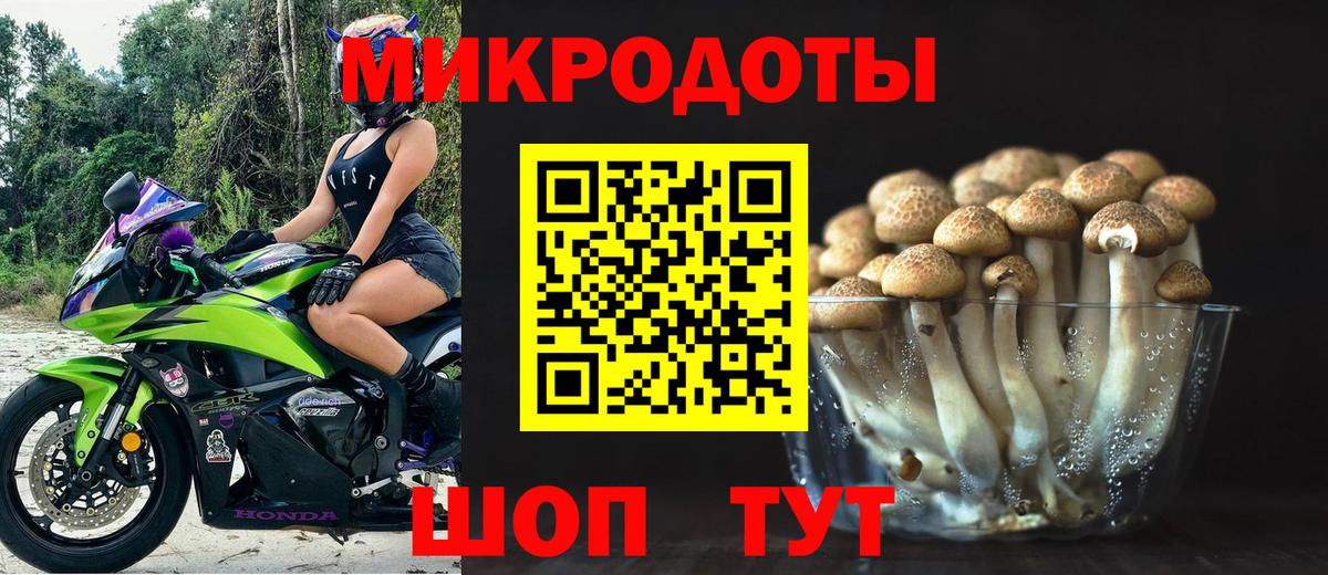 Георгиевск  Псилоцибиновые грибы Psilocybe  где продают наркотики  Вход с VPN 
