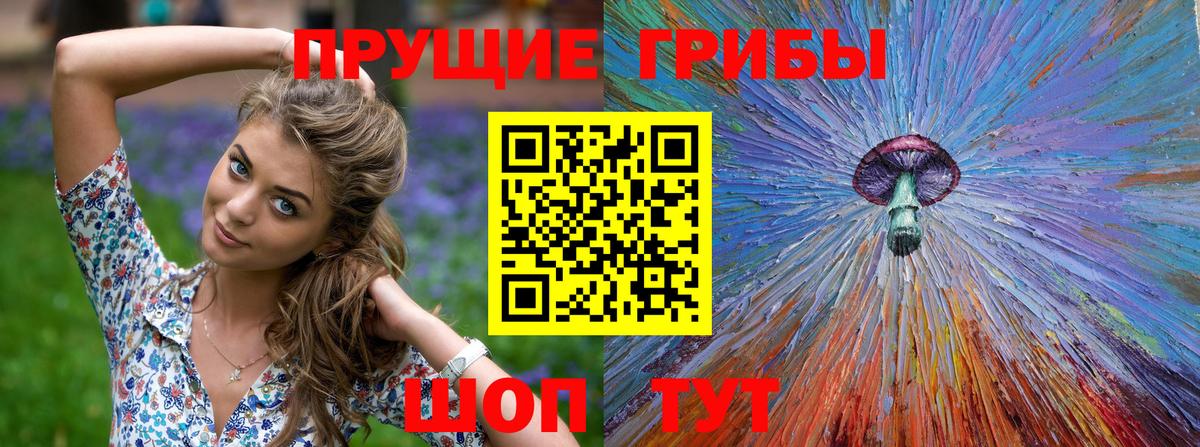 цена   Георгиевск  Галлюциногенные грибы мицелий 