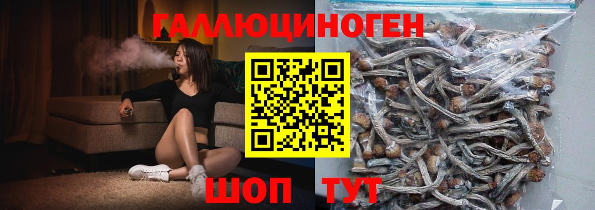 Галлюциногенные грибы GOLDEN TEACHER Георгиевск