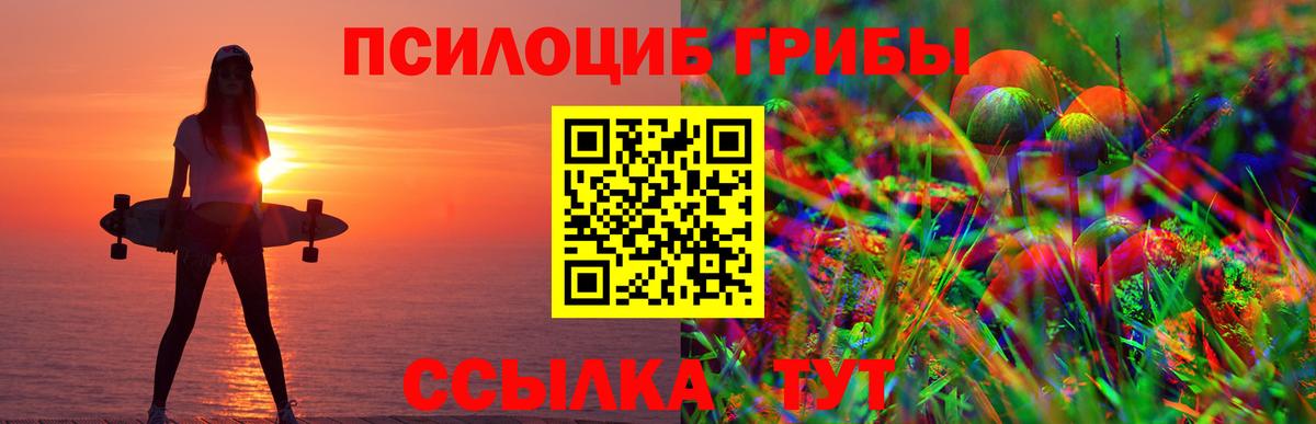 Галлюциногенные грибы GOLDEN TEACHER Георгиевск